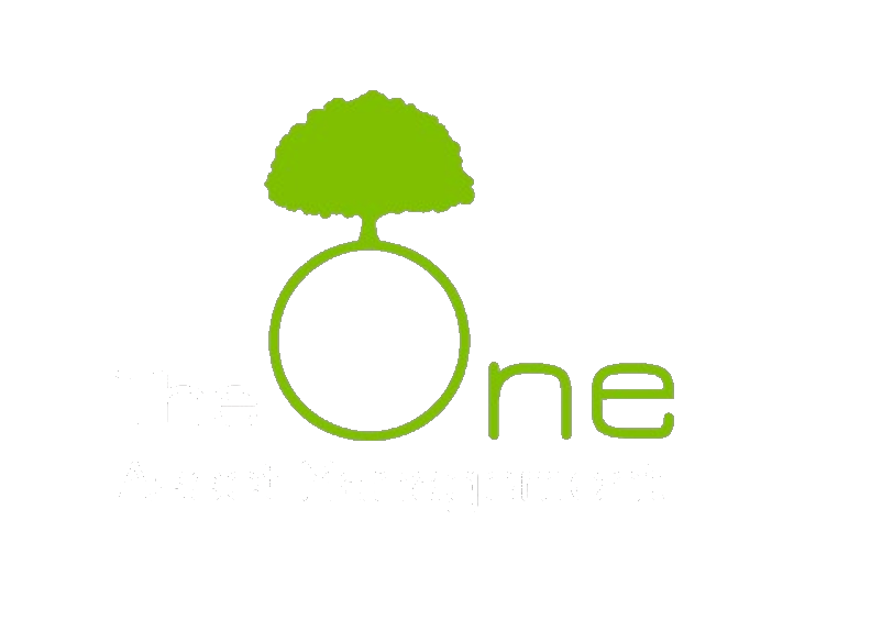 The One Asset Management