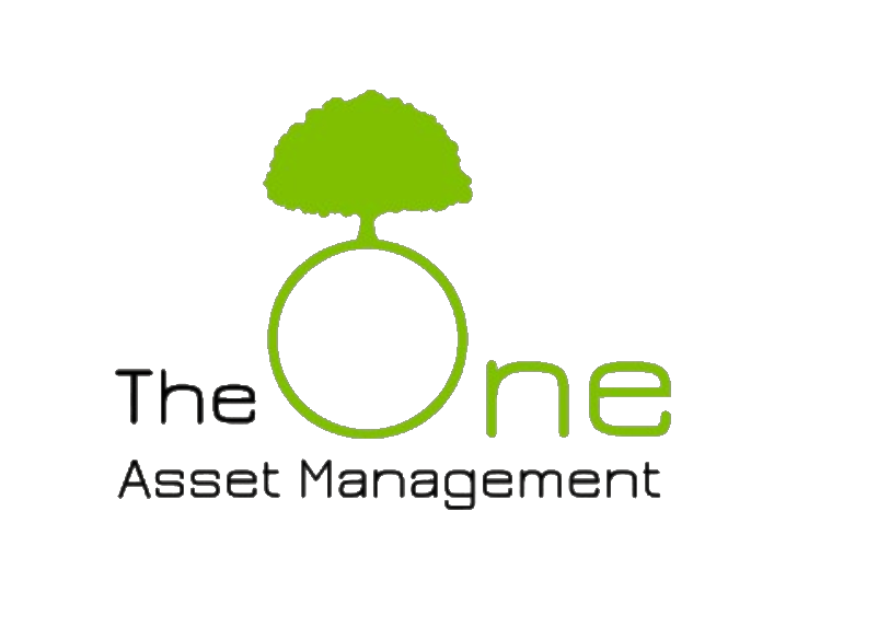 The One Asset Management